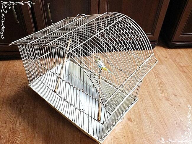 Biała klatka dla ptaków, kanarki, zeberki 46x49x30cm