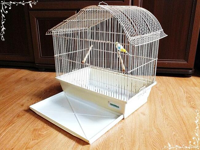 Biała klatka dla ptaków, kanarki, zeberki 46x49x30cm
