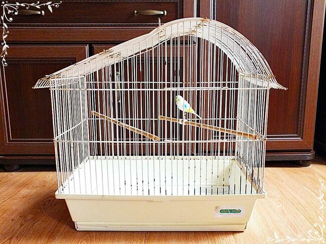 Biała klatka dla ptaków, kanarki, zeberki 46x49x30cm