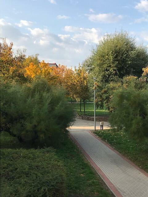 OKAZJA - Mieszkanie 3 pokojowe Koziegłowy k/Poznania