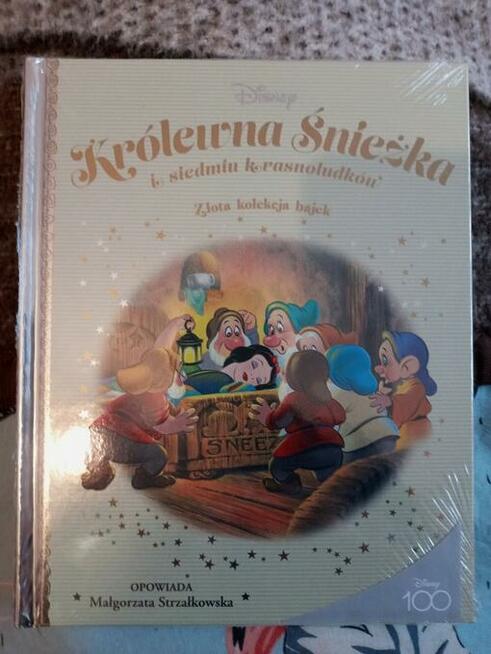 książki z kolekcji Disney-a