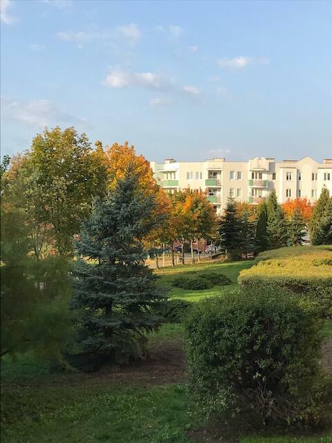 OKAZJA - Mieszkanie 3 pokojowe Koziegłowy k/Poznania