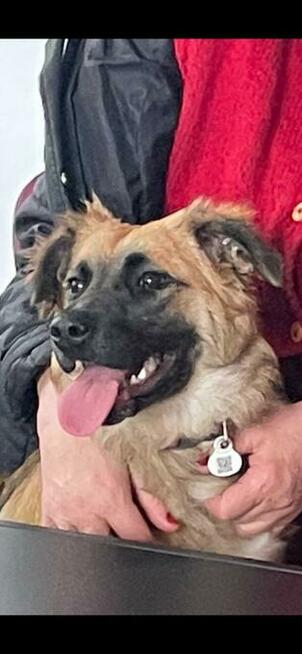 LoLa do ola
