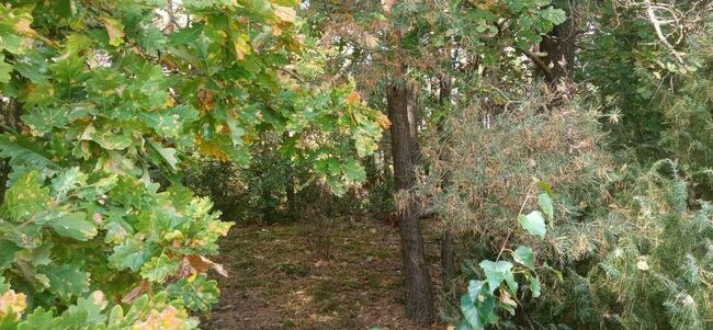 Duża działka z linią brzegową nad Bugiem k/Wyszkowa