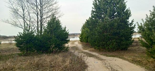 Duża działka z linią brzegową nad Bugiem k/Wyszkowa