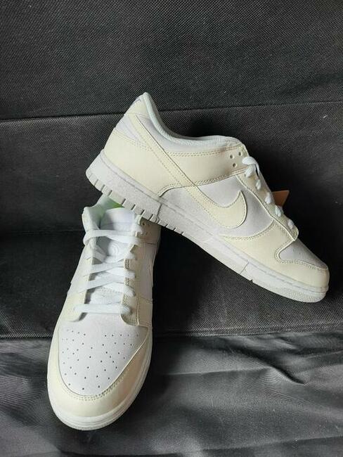Nike dunk low next natura rozmiar 43