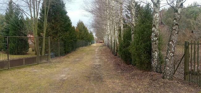 Duża działka z linią brzegową nad Bugiem k/Wyszkowa