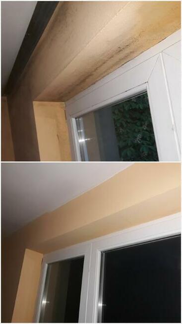 usuwanie pleśni, odgrzybianie