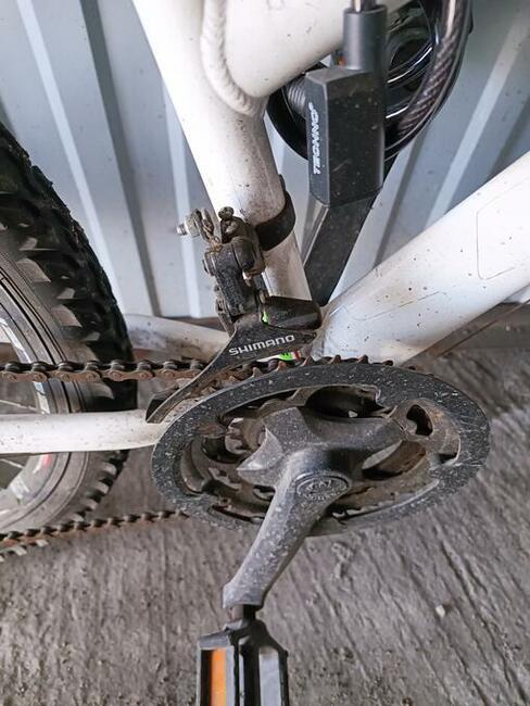 Rower młodzieżowy 24