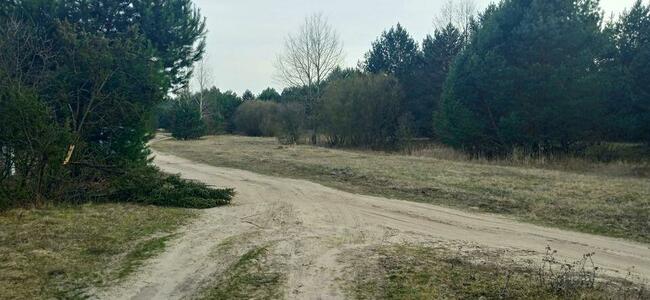 Duża działka z linią brzegową nad Bugiem k/Wyszkowa