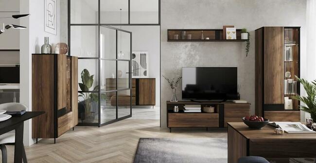 Modne meble do salonu - BORGA