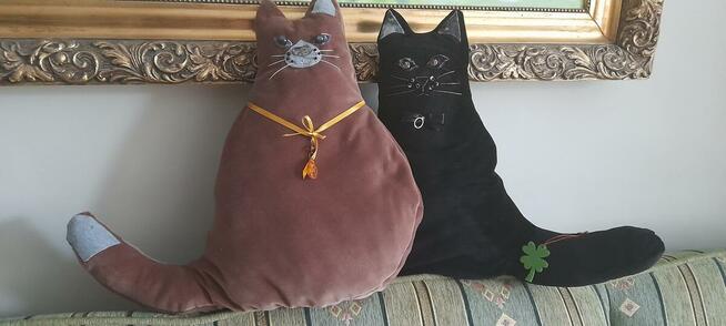 Poduszki koty czarne, rude