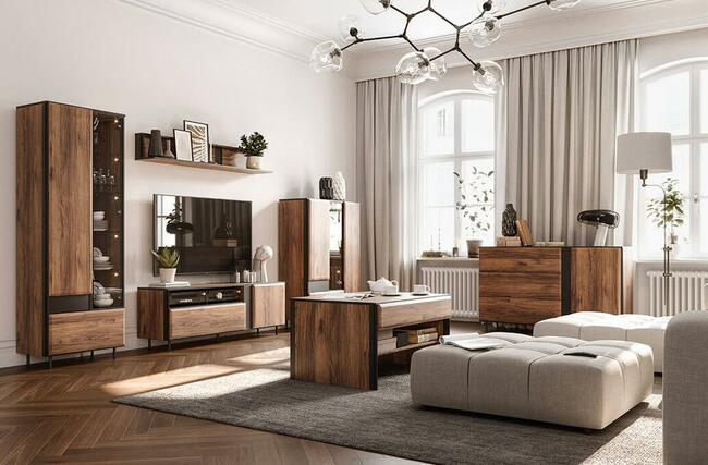 Modne meble do salonu - BORGA