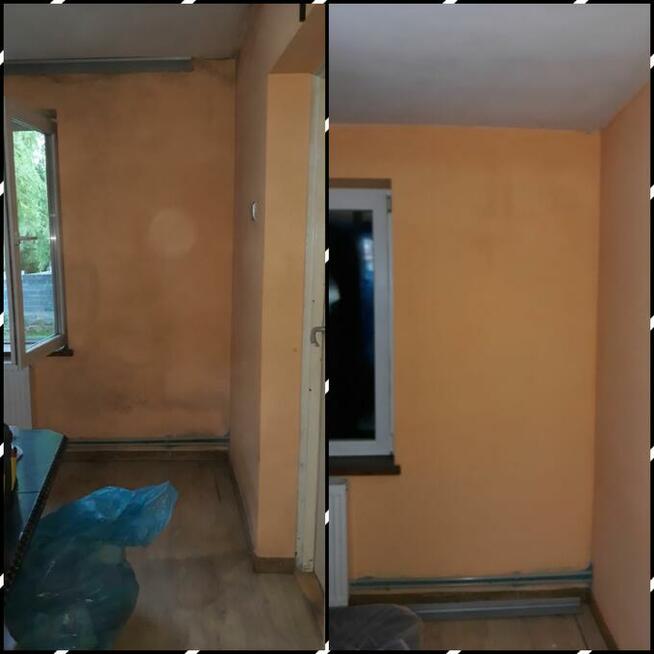 usuwanie pleśni, odgrzybianie