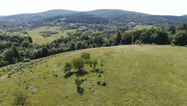 Sprzedam działkę rolną 7,39 ha, Dolnoś. gm. Leśna, Pobiedna