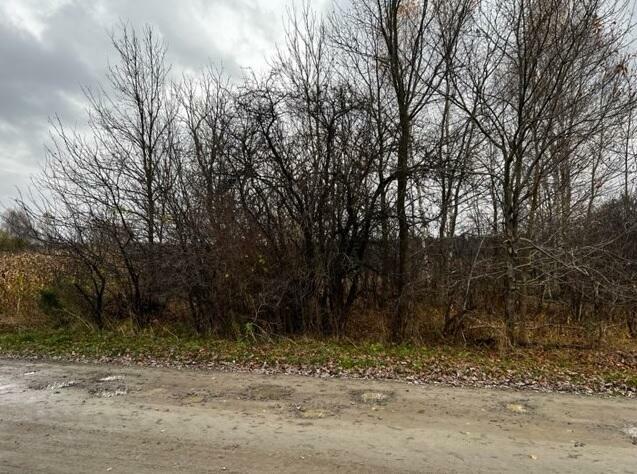 Przetarg na sprzedaż nieruchomości Gmina Cegłów - Wiciejów