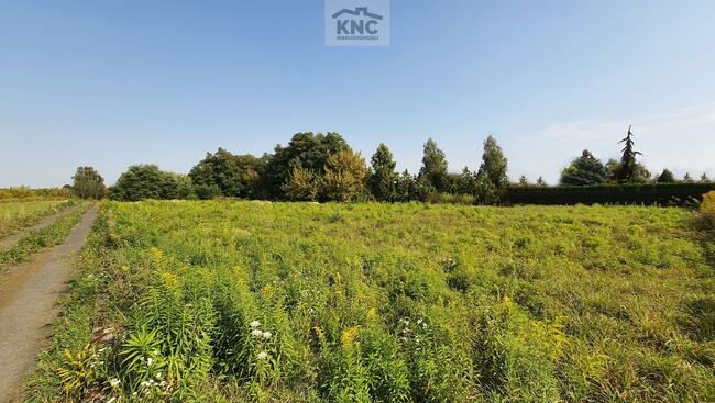 Działka rolno-budowlana Bystrzejowice Drugie gm. Piaski
