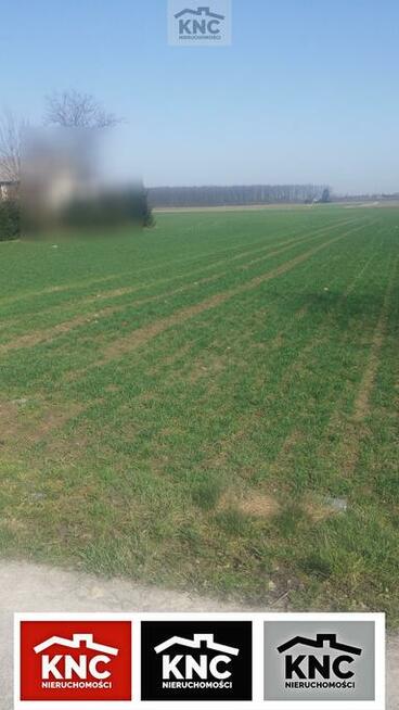 Działka rolno-budowlana Jakubowice Konińskie gm. Niemce