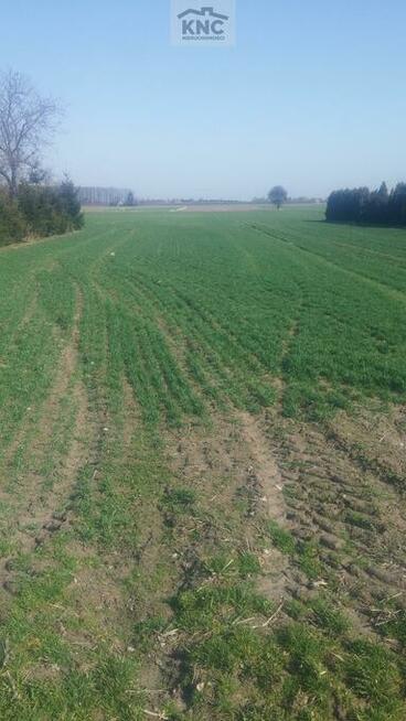 Działka rolno-budowlana Jakubowice Konińskie gm. Niemce