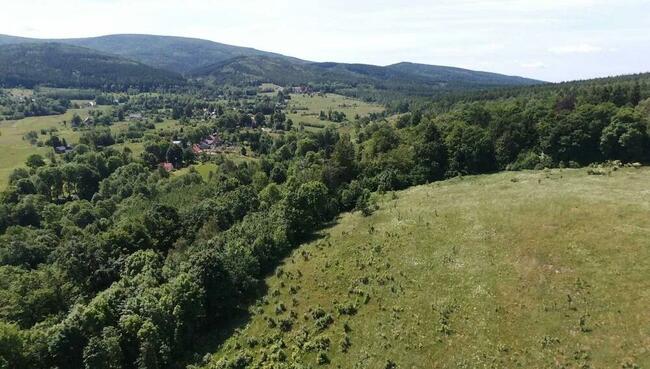 Sprzedam działkę rolną 7,39 ha, Dolnoś. gm. Leśna, Pobiedna