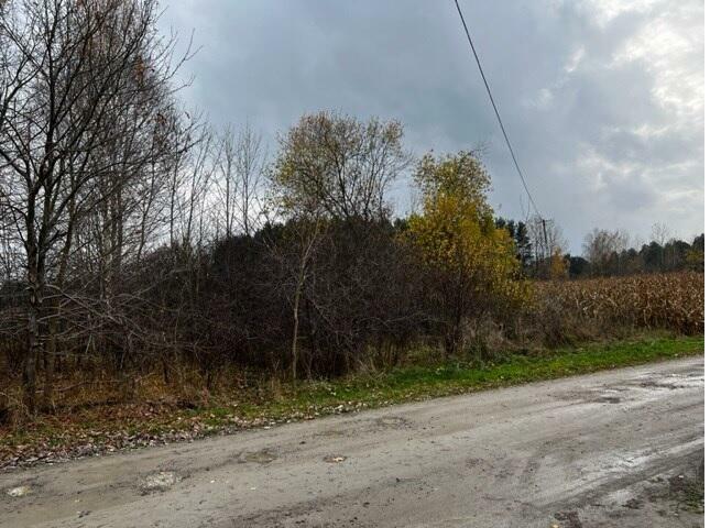 Przetarg na sprzedaż nieruchomości Gmina Cegłów - Wiciejów