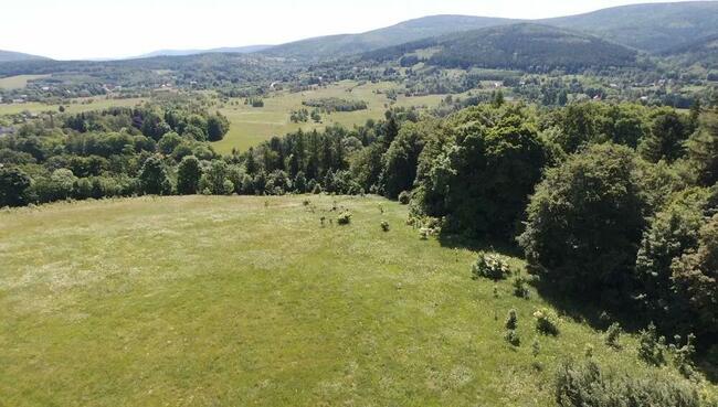 Sprzedam działkę rolną 7,39 ha, Dolnoś. gm. Leśna, Pobiedna
