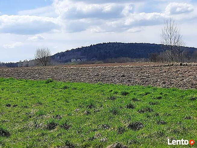 SPRZEDAM DZIAŁKĘ BUDOWLANĄ