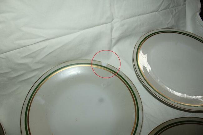 Serwis obiadowy Ćmielów zielony pasek PRL