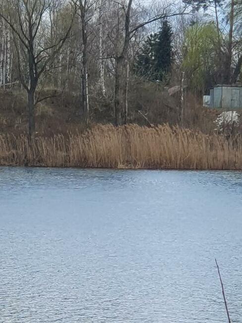 Sprzedam działki rekreacyjne / cena do negocjacji