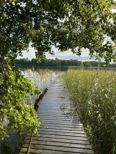Domek nad jeziorem do wynajęcia