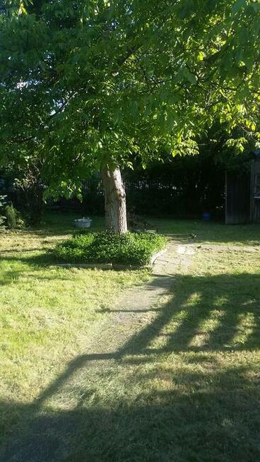 sprzedam dzialke rod