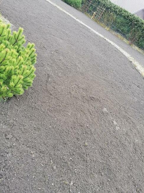 Trawnik koszenie, żywopłot przycinanie