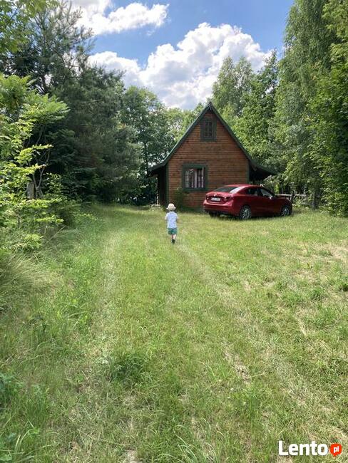 Domek nad jeziorem do wynajęcia