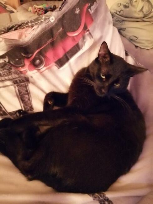 Korek- dej mnie natentychmiast DOM!