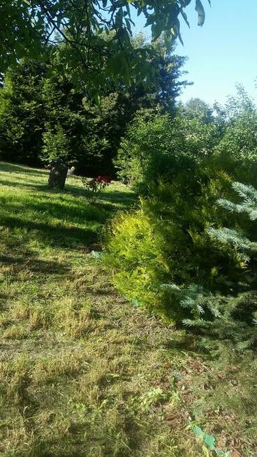 sprzedam dzialke rod