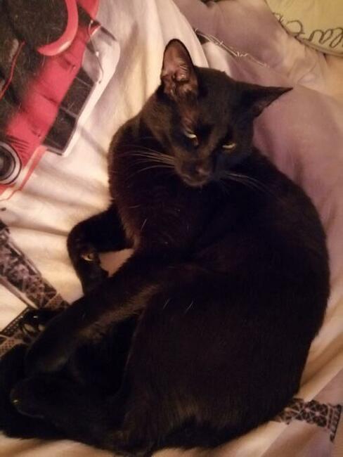 Korek- dej mnie natentychmiast DOM!