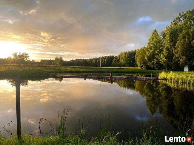 Pokoje do wynajęcia Sosnowik w sercu Puszczy Knyszyńskiej