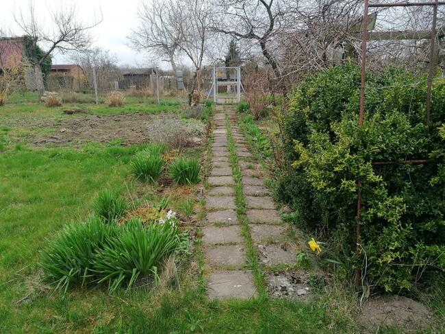 Działka Rod rekreacyjno - warzywna Koszalin