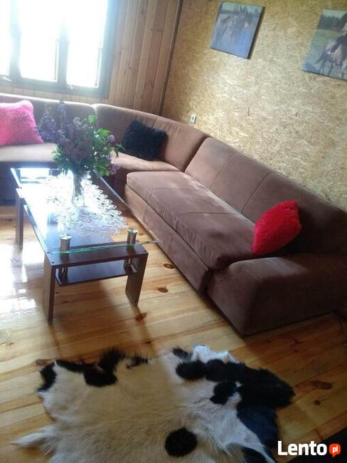 Pokoje do wynajęcia Sosnowik w sercu Puszczy Knyszyńskiej