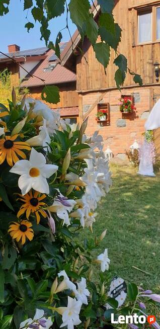 Organizacja wesela 2023,2024