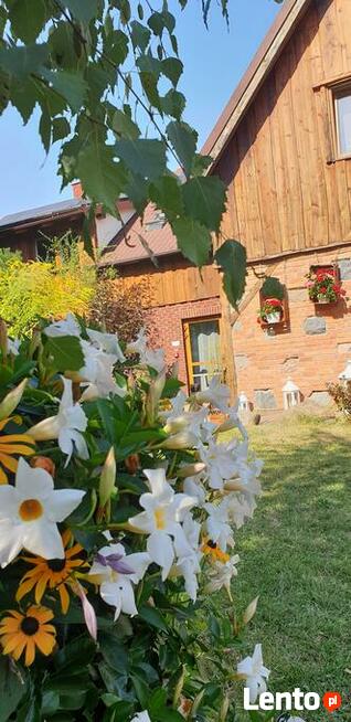 Organizacja wesela 2023,2024