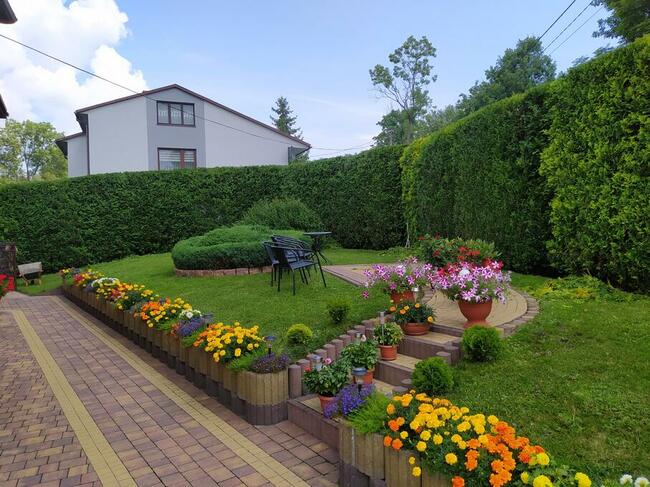 Przycinanie żywopłotów, wertykulacja, koszenie, wycinka