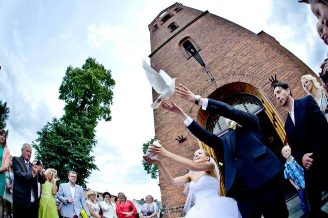 Białe gołębie na ślub