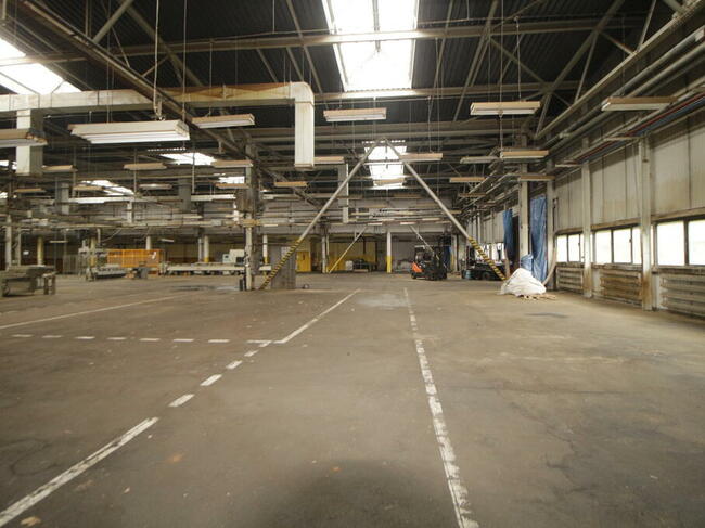 Zakład Produkcyjny , Hale, Magazyny