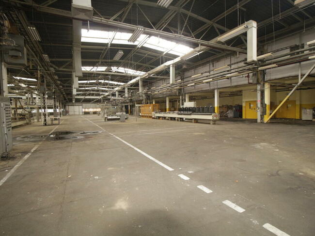 Zakład Produkcyjny , Hale, Magazyny