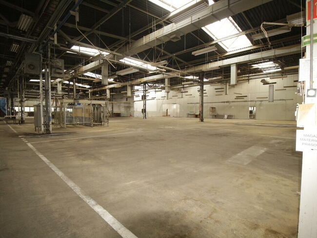 Zakład Produkcyjny , Hale, Magazyny