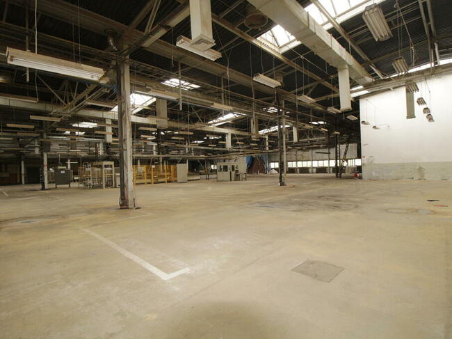 Zakład Produkcyjny , Hale, Magazyny