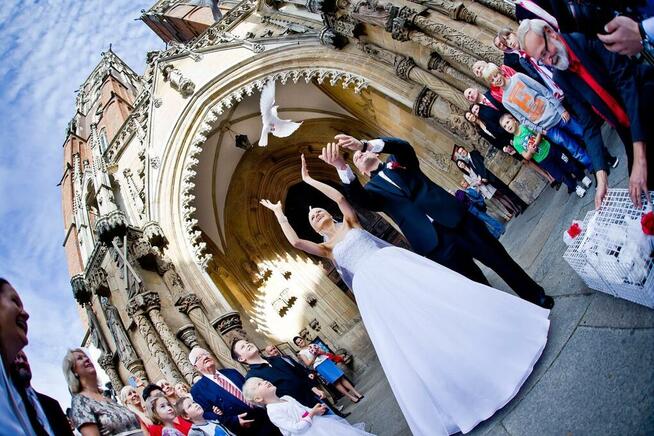 Białe gołębie na ślub