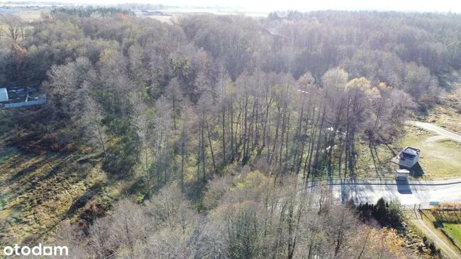 działka teren Brodnica-KOMINY do wynajęcia 25000 m2