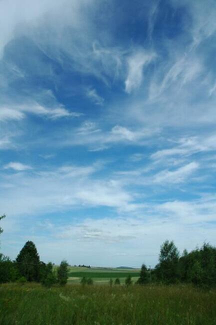 Do wynajęcia 19,19 ha